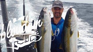 YELLOWTAIL FEVER - STRUISBAAI - HOW TO FISH YELLOWTAIL WITH HANDLINE