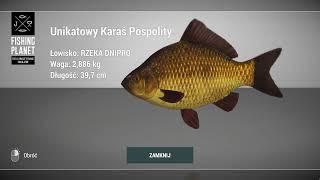 Fishing Planet Dnipro River Ukraine Unique Crucian Carp | Unikatowy Karaś Pospolity #fp #dnipro