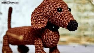 Амигуруми: схема Такса. Игрушки вязаные крючком - Free crochet patterns.