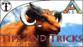 Fast Ovis(Sheep) Taming Guide : Ark : Survival Evolved Tips and Tricks