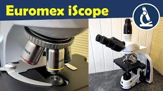 Review of the Euromex iScope Microscope