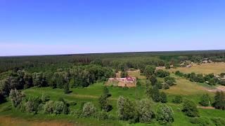 Купить дом в лесу на хуторе. Черниговская область