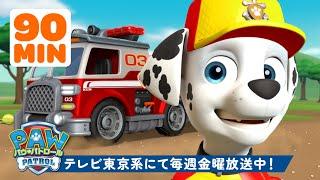 パウ・パトロール | パウ・パトロールの最高の消防車レスキュー！ | テレビ東京系にて放送中