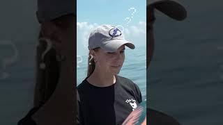 FISH CPR?!?!  New episode out now!
