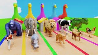 Duck Cartoon vs Cow vs Elephant vs Gorilla Fountain Crossing Game Choose The Right Game Wild Animals