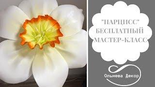 БЕСПЛАТНЫЙ МАСТЕР-КЛАСС "НАРЦИСС" от Ольги Ольневой