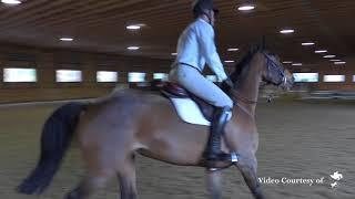 Jeff Cook Clinic:  Section III at Torsilieri Show Stables