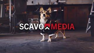 Scavo Media