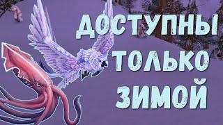 [WoW] Зимний улов для ачивки: питомец Белоснежная сова и рыба Зимний кальмар | Когда добывать?