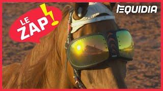 UN CHEVAL À  LUNETTES ! | Le Zap de Juillet 2020