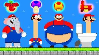 Mario All Powerups in New Super Mario Bros. Wii | Game Animation