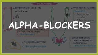 Alpha blockers - mechanism of action, indications and side effects