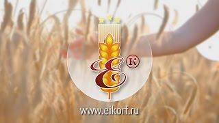 Emelianov & K, Ltd. Introduction. Корпоративный ролик на английском языке.