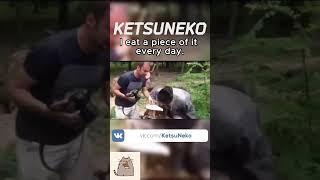 This is my Grib! Я его ️ем! @KetsuNeko