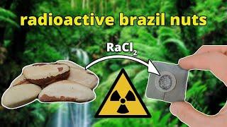 Radium from Brazil Nuts - nuclear chemistry