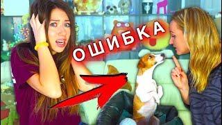 5 Ошибок Каждого Хозяина Дрессировка Собак С чего начать | Elli Di Pets