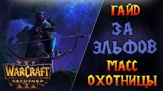 Самая простая стратегия - масс охотницы! \\  Warcraft 3 Reforged - Гайд за Ночных Эльфов