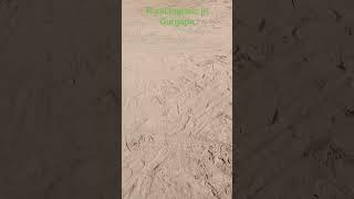 #reels#trendingshorts  R SAI LOGISTIC 