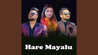 Hare Mayalu