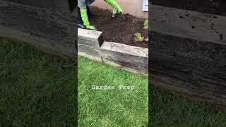 Garden Prep with CharGuy Long Sleeve Gloves and 4 Piece Tool Set #garden #gardeningtips #greenthumb