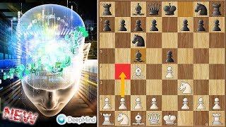 Evans Gambit on The Highest Level || AlphaZero vs Stockfish