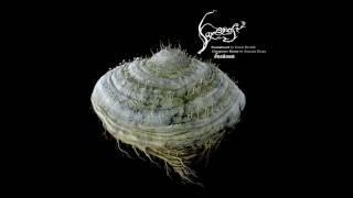 Tomáš Dvořák / Floex - Samorost 2 Soundtrack (Full Album / Álbum Completo)