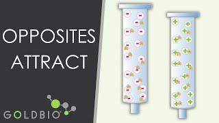 An Overview on Ion-Exchange Chromatography