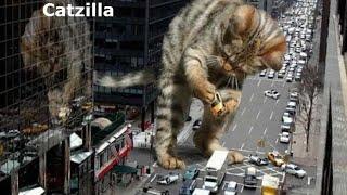 #catzilla #trailler #Котзилла!