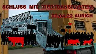 Cuxland Film gegen Tiertransporte