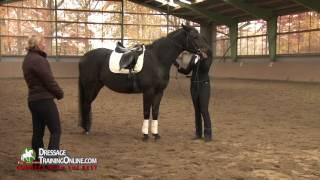 School Of Legerete, Dressage training