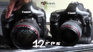 Canon 1DX vs Canon 1D Mark III Shutter Test (Aug. 8, 2015)