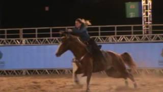 Sofia Gallas - 3 Tambores