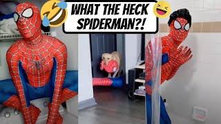 What the Heck Spiderman? Watch Until End  | #Shorts | Ming and James