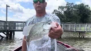 Shallow Docks To Deep Brush -  Crappie Fishing