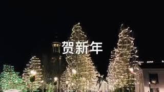 【完美之旅】新年金曲【贺新年】+ 大波士顿地区昆西市Quincy圣诞新年美景