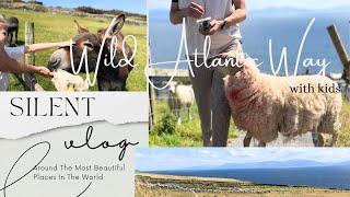 23. Cozy & Peaceful day in the Wild Atlantic Way. Slow summer living with kids. Silent vlog. IRELAND