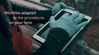 Updated Pig Management for Sows