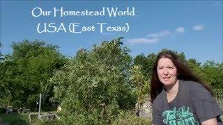 Our Homestead World - USA (East Texas)