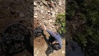 Anfibio metal detector