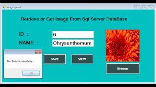 C# Retrieve Image from Database