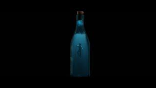 3d bottle