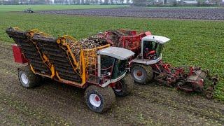 The beet limousine | Home made modified sugar beet chaser | Van Beem Agro