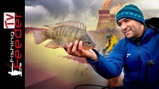 Зимняя рыбалка 2020 на фидер. АТОМНАЯ рыбалка. РЫБА рвет леску. 4K Feeder Fishing TV #58