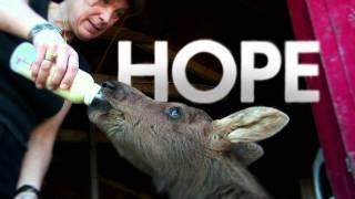 Hope for Wildlife