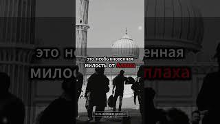 Благодарность за тревогу, которую стоит ценить #ТревогаИБлагодарность #ИспытанияЖизни
