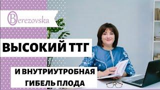 Высокий ТТГ и внутриутробная гибель плода  @DrOlenaB