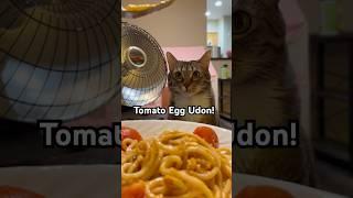 Meal Time with Umaru EP 1