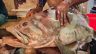 Amazing Cutting Skills - Giant Grouper Fish Cutting By Expert Fish Cutter