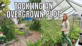 TACKLING AN OVERGROWN ALLOTMENT PLOT / ALLOTMENT GARDENING UK