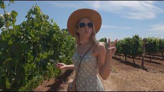 Weekend Of Wine Tasting In Willamette Valley Oregon. The Trendiest Hotel -Amazing Architect Wineries
